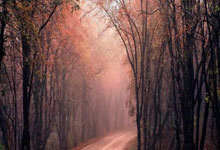 非凡娱乐官网:3-0!世界第11尽显无奈,王艺迪霸气七连胜,下轮约战钱天一!.