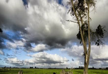 非凡娱乐官网:欧冠综合:拜仁“绝平”晋级 AC米兰无缘16强2025-02-20.